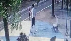 Investigação de crime de maus-tratos contra gatos no Recife completa dois meses sem respostas