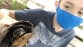 Criança dá show de educação ambiental ao entregar cágado que ganhou de presente à CPRH