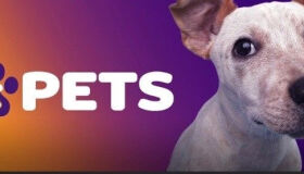 Vivo lança ferramenta para incentivar adoção de pets