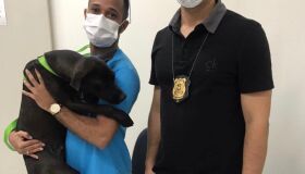 Cadela é resgatada após ser amarrada em moto e arrastada por seis quilômetros, no Grande Recife