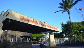 UFPE abre 1.380 vagas em cursos gratuitos a distância; saiba como participar