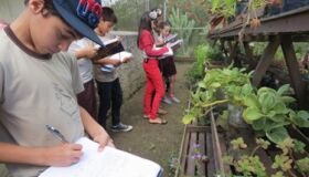 Em Bananeiras/PB, uma escola que planta o futuro da educação