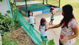 Envolver crianças no cuidado com as plantas traz benefícios emocionais, cognitivos e sociais