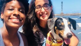 Resgate animal: um amor que salva vidas