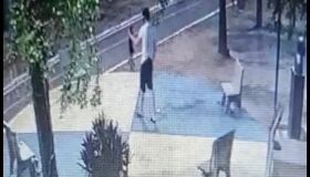 Estudante envolvido em caso de maus-tratos contra gatos no Recife é alvo de denúncia do MPPE