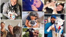 Campeões de fofura! Veja os pets dos atletas que brilharam defendendo o Brasil nos Jogos de Tóquio