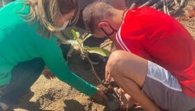 Projeto viabiliza plantio de mudas e insere adolescentes do sistema socioeducativo em programas de educação ambiental