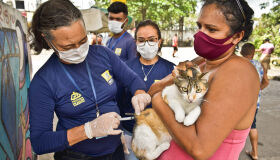Recife abre agendamento para vacinação de cães e gatos no Centro de Vigilância Animal