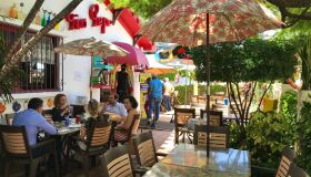 Tour Gastrô: Tio Pepe, o queridinho dos pernambucanos e dos turistas!