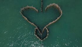 Inovação e sustentabilidade no litoral do Nordeste