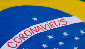 A COVID-19 no Brasil: Os detalhes deste enfrentamento através de um ponto de vista econômico