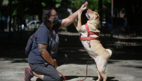 Conheça novos serviços e produtos que chegam ao mercado pet