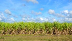 Do sucesso nominável ao lapso do anonimato: o improviso não é obra do acaso