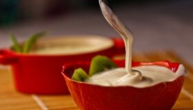 Probióticos podem ajudar a diminuir enjoos na gravidez