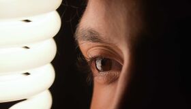 Saiba o que é inteligência emocional e aprenda a desenvolvê-la