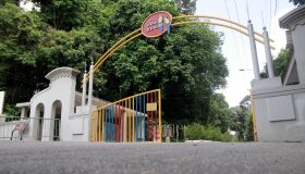 Parque Dois Irmãos: desmistificando o manejo de animais no Zoológico de Pernambuco 