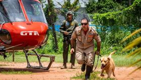 Cães do Corpo de Bombeiros de Pernambuco são treinados para transporte aéreo 