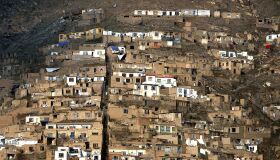 A importância do valor da humanização nas atividades econômicas (I)