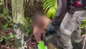 Cadelas farejadoras encontram homem que ficou desaparecido por dois dias na Bahia