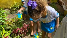 Imunidade infantil é beneficiada por vivências ao ar livre