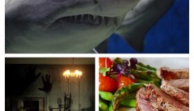 Assombrações, Tubarões  e Culturas: Como Inovar na Política de Turismo do Recife (I)