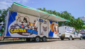 Castramóvel oferece castração gratuita para pets em Jardim Fragoso, Olinda, nesta terça (2)