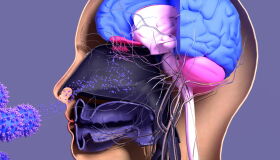 Síndrome da Covid longa: estudos avaliam gravidade e impacto da Covid prolongada no organismo