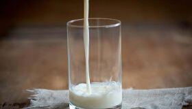 Intolerância à lactose e alergia à proteína do leite são diferentes? Entenda e saiba como conviver