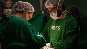 Dia Nacional da Doação de Órgãos: em Pernambuco, 2.587 pacientes aguardam na fila de transplante