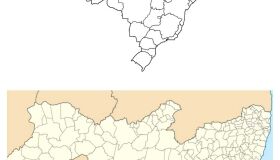 Novos Governos, Novas Expectativas