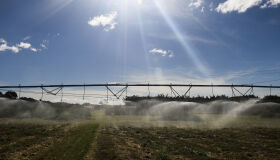 No País da Insegurança Alimentar, Combater o Desperdício é Ir Além do Agro