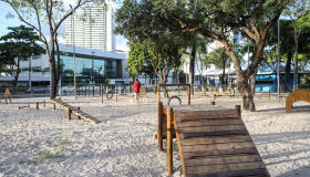 Confira uma lista de parques e praças com estrutura para cães no Recife