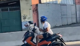 Cachorro é flagrado "pilotando" moto no Rio de Janeiro; confira o vídeo