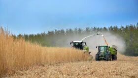 Adote-se o "nem 8, nem 80" no agronegócio