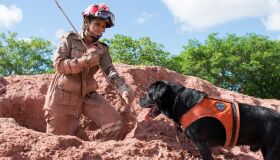 Cães do Corpo de Bombeiros de Pernambuco participam de torneio de obediência canina
