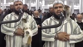 Gato pula em muçulmano durante oração do Ramadã, mas não consegue atrapalhar recitação 