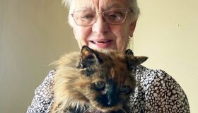 Aos 32 anos, gata pode conquistar título de felino mais velho do mundo