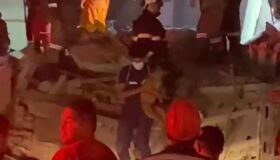 Cachorros são resgatados de escombros após desabamento de prédio em Olinda