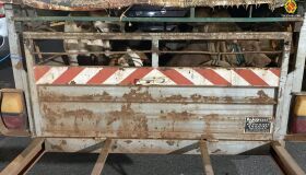 PM resgata 13 cães em situação de maus-tratos dentro de carreta no Distrito Federal 