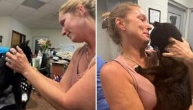 Gato reencontra tutora após dez anos desaparecido