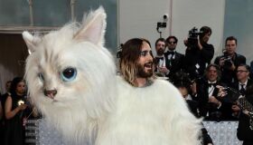 Gatos no Met Gala? Saiba o motivo por trás das referências aos gatinhos nos looks dos famosos