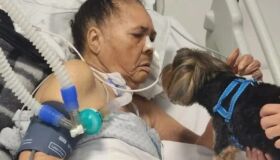 Idosa apresenta melhora e sai do CTI após visita do seu cachorro