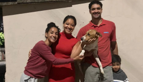 Cãozinho flagrado "pegando carona" em ônibus encontra seus tutores