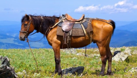 A Urgência da Tríplice Aliança que Emperra a Economia Brasileira