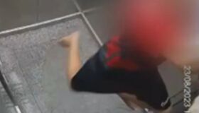 Criança pula para salvar cadela que ficou presa em porta de elevador em Goiás; assista
