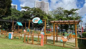 Plaza Shopping inaugura espaço fixo de convivência e lazer para cães e tutores