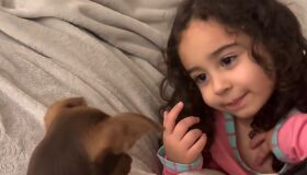 Menina de 4 anos explica "amor de mãe" a cachorro e encanta internautas