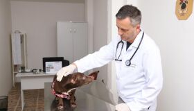 Paulista inaugura Centro de Triagem Veterinário para atendimento gratuito da população