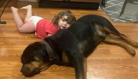 Menina perdida de 2 anos é encontrada usando cachorro da família como travesseiro