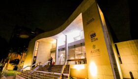 Lei proíbe a prática de zoofilismo em Pernambuco